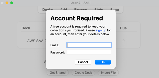 Photo of a boy scout in sunny nature